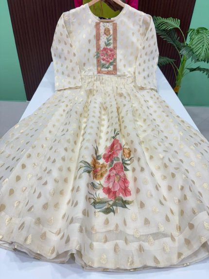 Premium Tissue Silk Gown